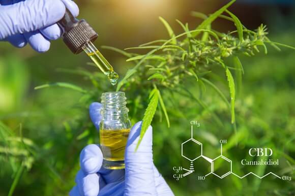 CBD et Ostéopathie : une alliance naturelle pour soulager douleurs et tensions corporelles